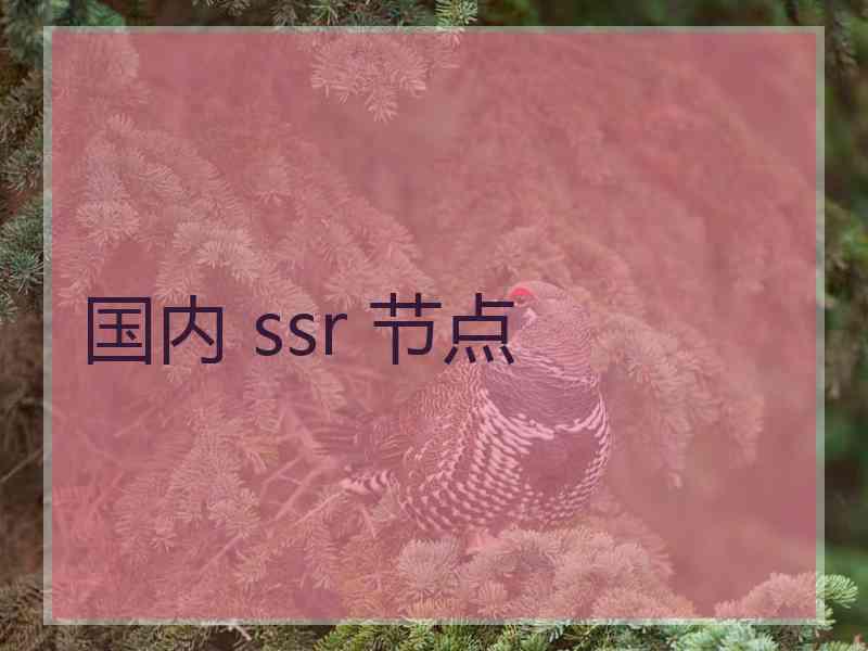 国内 ssr 节点