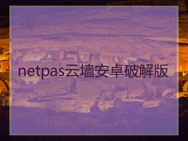 netpas云墙安卓破解版