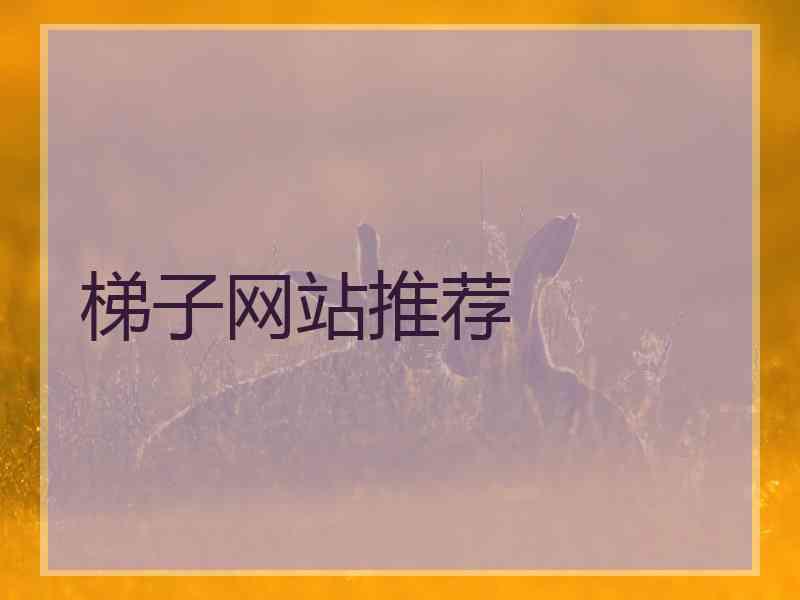 梯子网站推荐