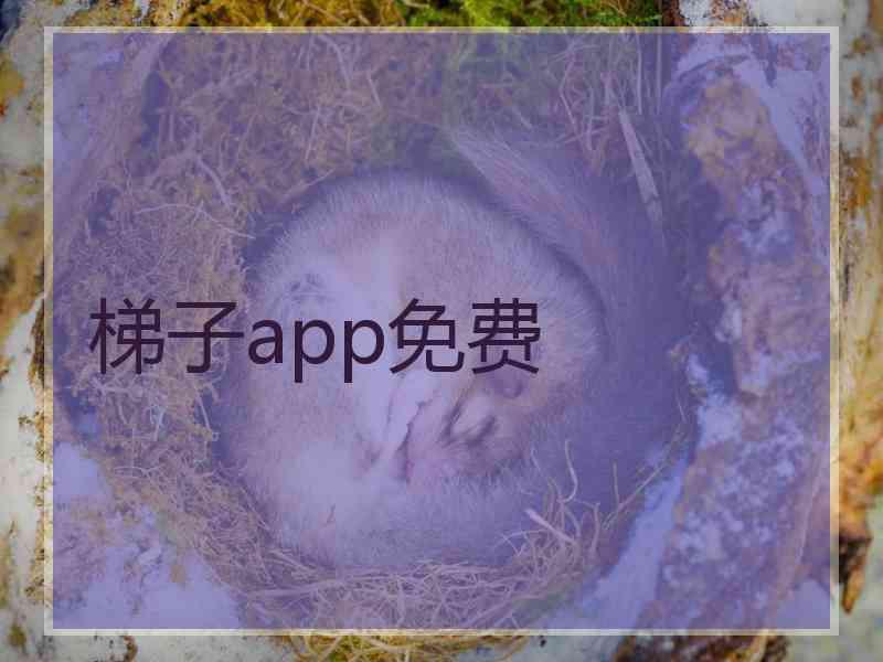 梯子app免费