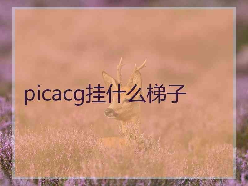 picacg挂什么梯子