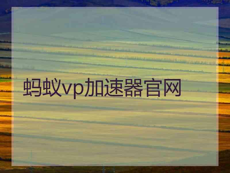 蚂蚁vp加速器官网