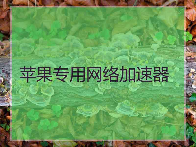 苹果专用网络加速器