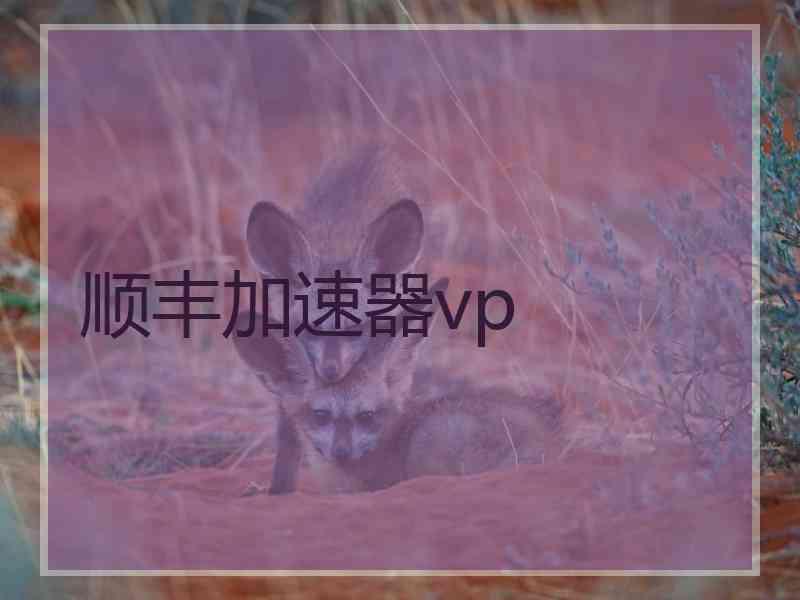 顺丰加速器vp