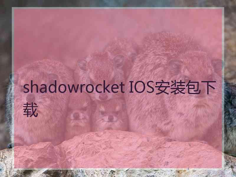 shadowrocket IOS安装包下载