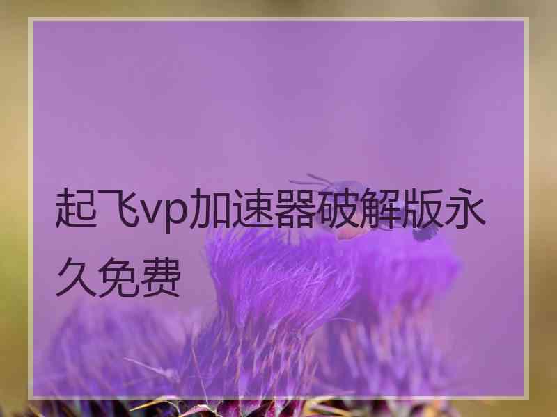 起飞vp加速器破解版永久免费