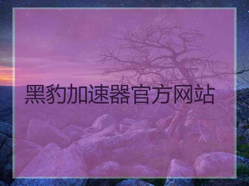 黑豹加速器官方网站