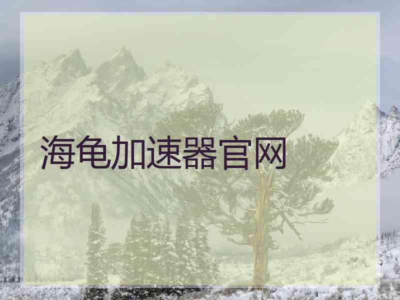 海龟加速器官网
