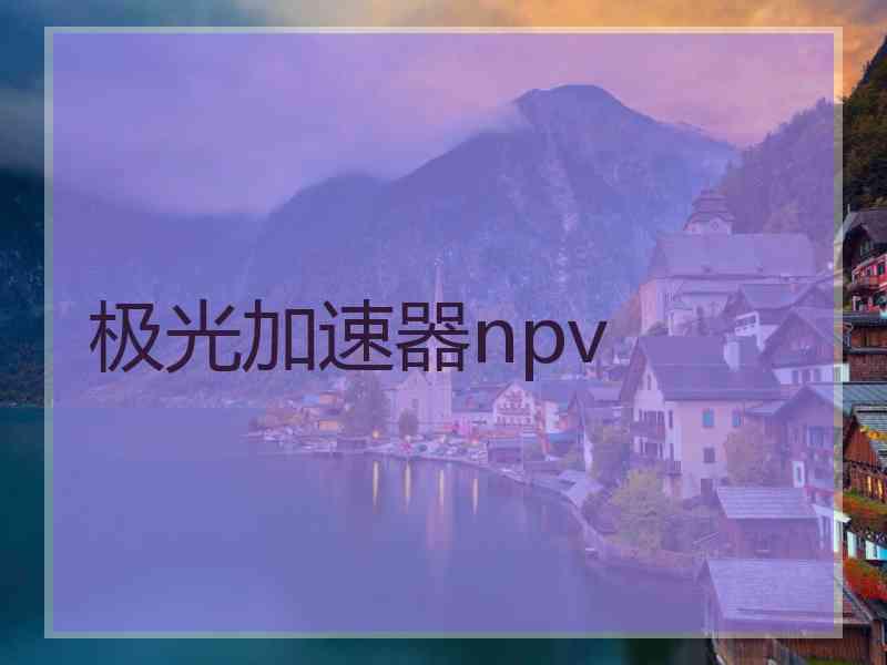 极光加速器npv