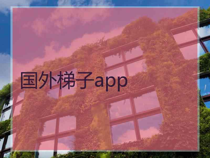 国外梯子app
