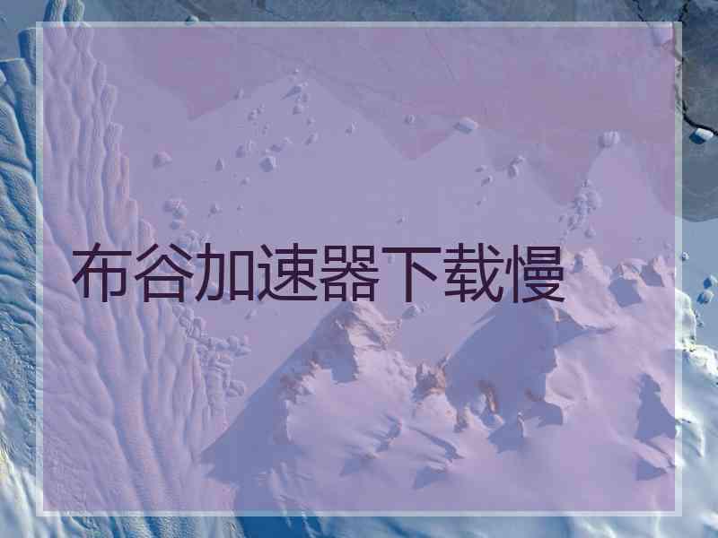 布谷加速器下载慢
