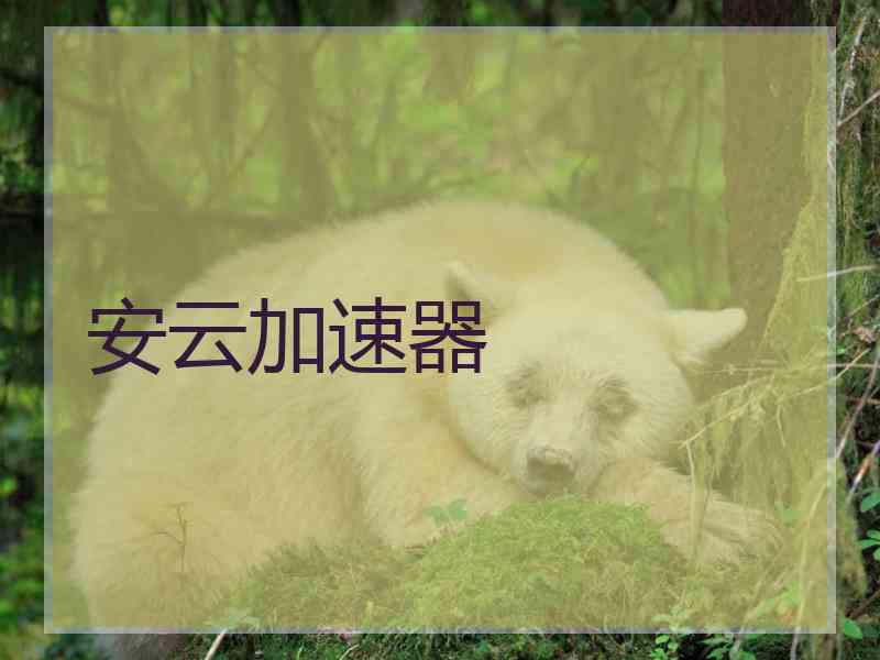 安云加速器