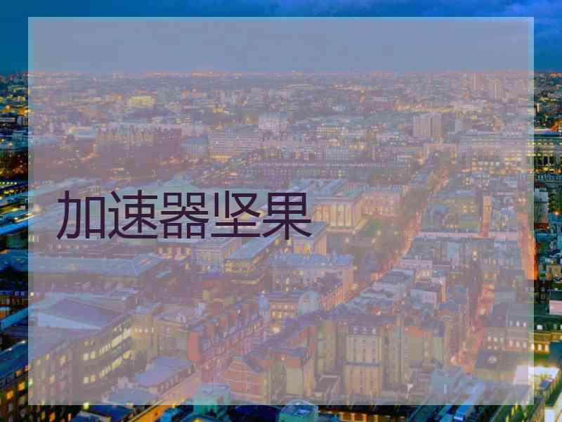 加速器坚果