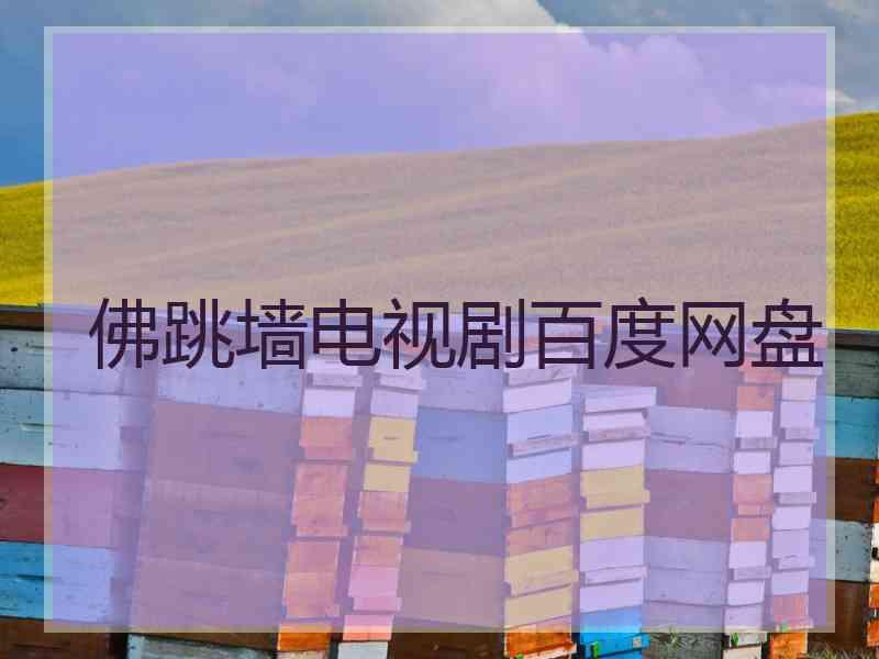 佛跳墙电视剧百度网盘