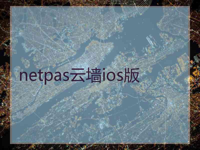 netpas云墙ios版