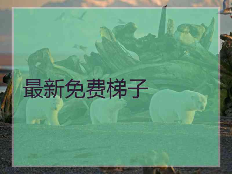 最新免费梯子
