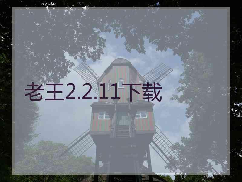 老王2.2.11下载