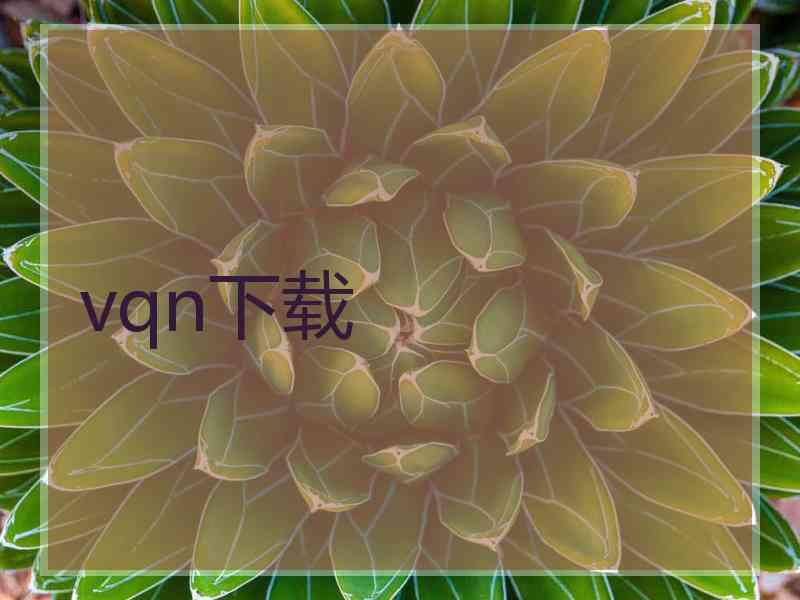 vqn下载