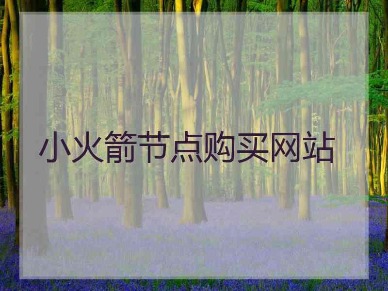 小火箭节点购买网站