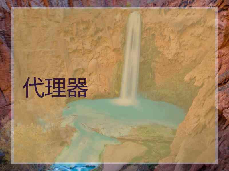 代理器