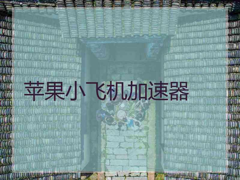 苹果小飞机加速器
