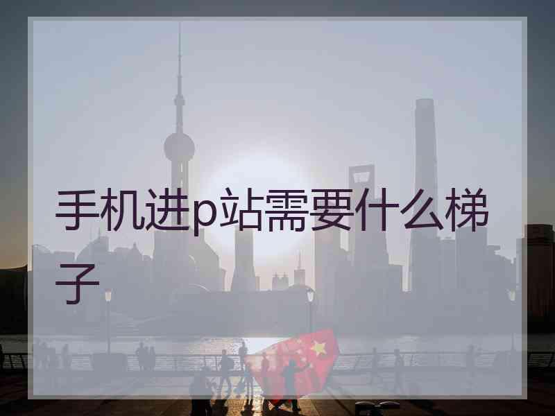 手机进p站需要什么梯子