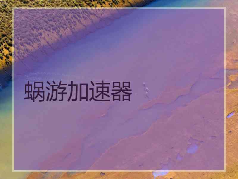 蜗游加速器