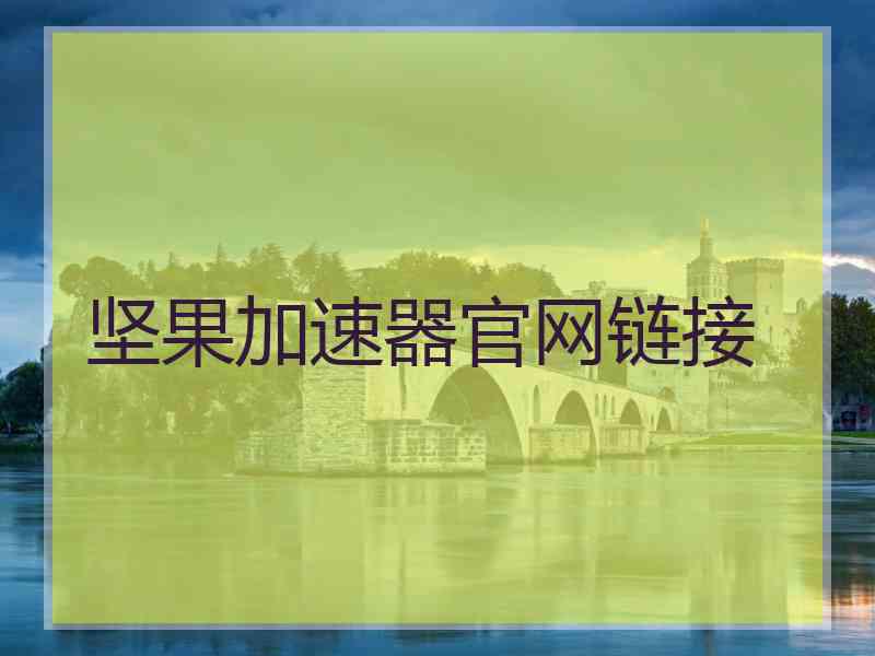 坚果加速器官网链接