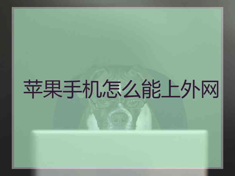 苹果手机怎么能上外网