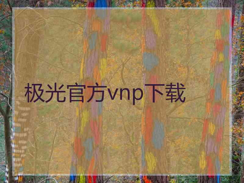 极光官方vnp下载