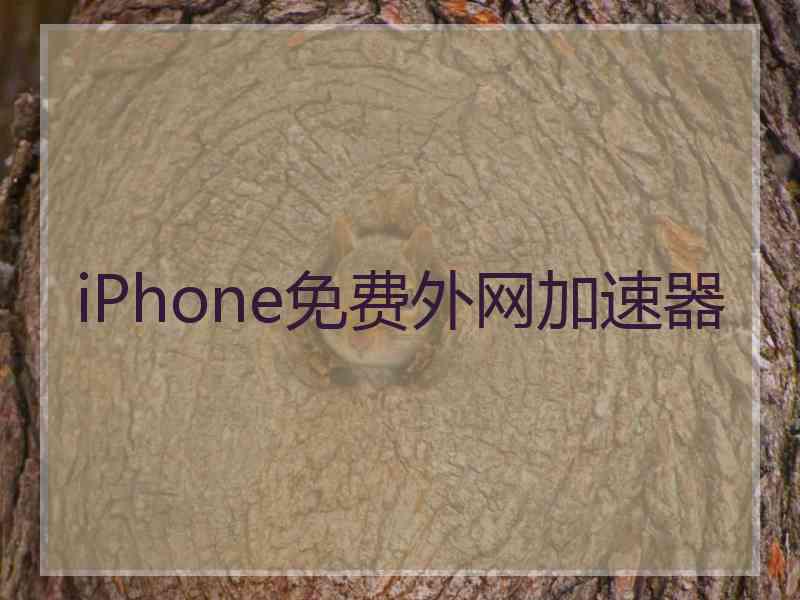 iPhone免费外网加速器