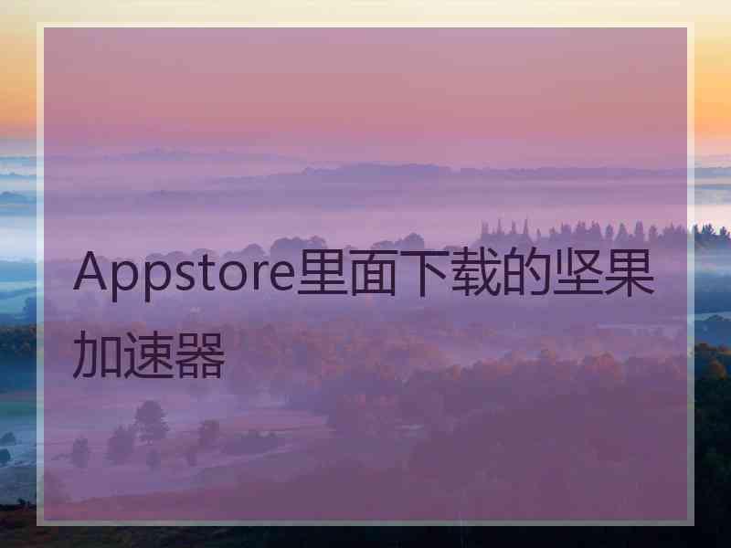 Appstore里面下载的坚果加速器