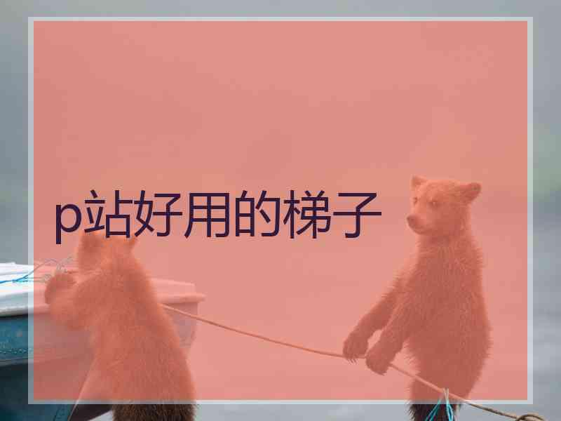 p站好用的梯子