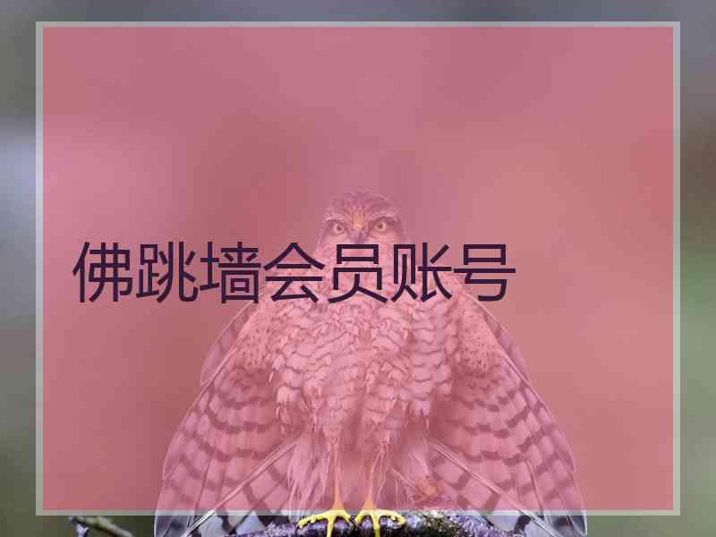 佛跳墙会员账号