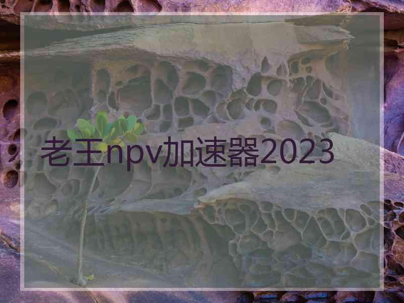 老王npv加速器2023