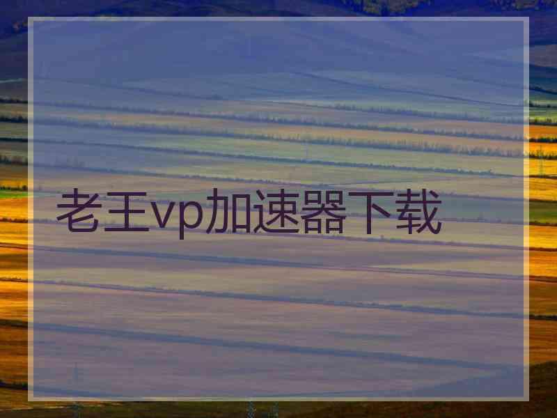 老王vp加速器下载