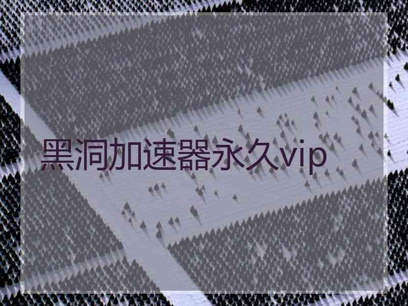 黑洞加速器永久vip