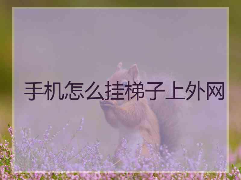 手机怎么挂梯子上外网