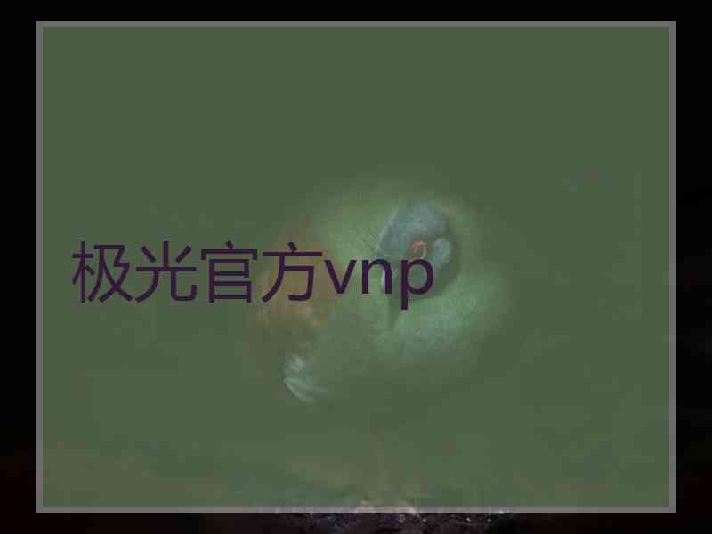 极光官方vnp