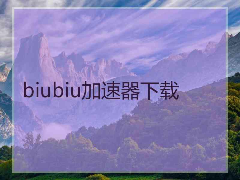 biubiu加速器下载