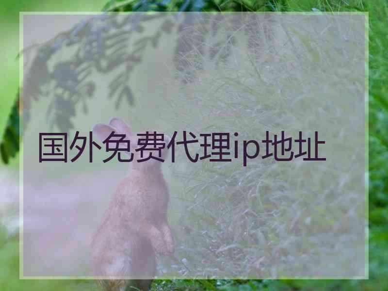 国外免费代理ip地址