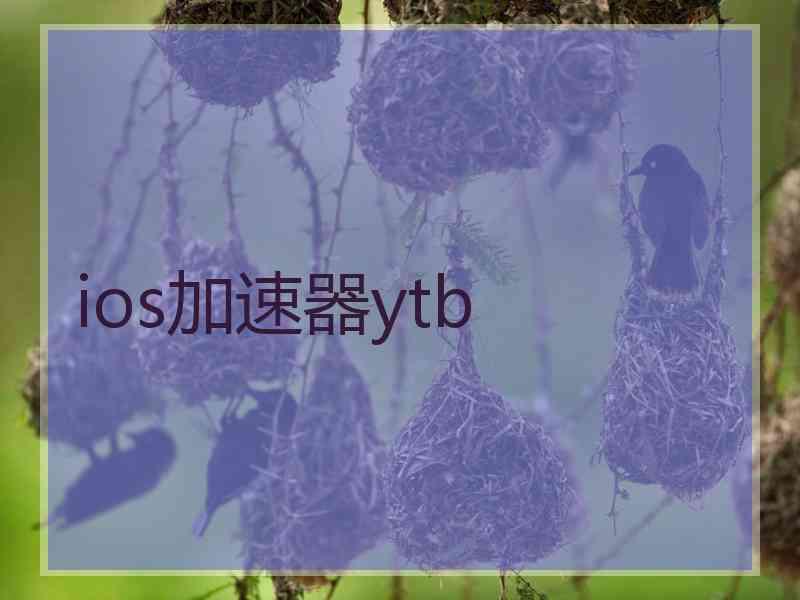 ios加速器ytb
