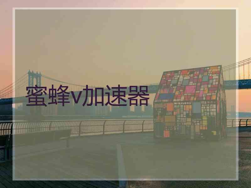 蜜蜂v加速器