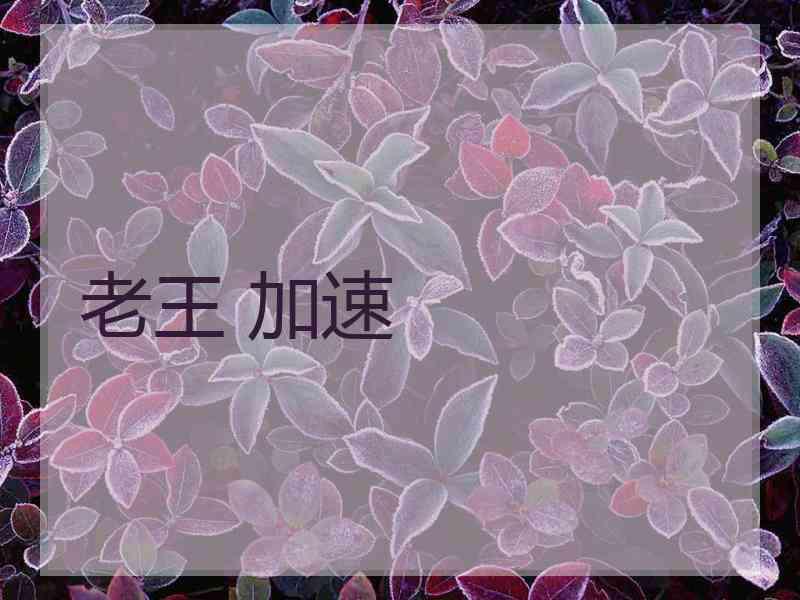 老王 加速
