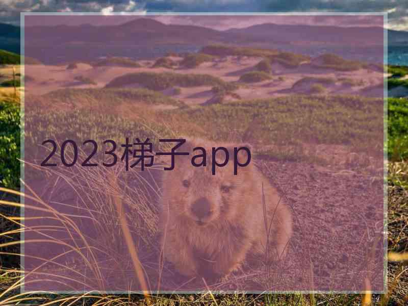 2023梯子app