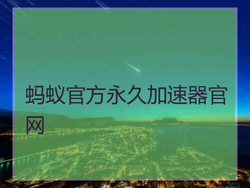 蚂蚁官方永久加速器官网