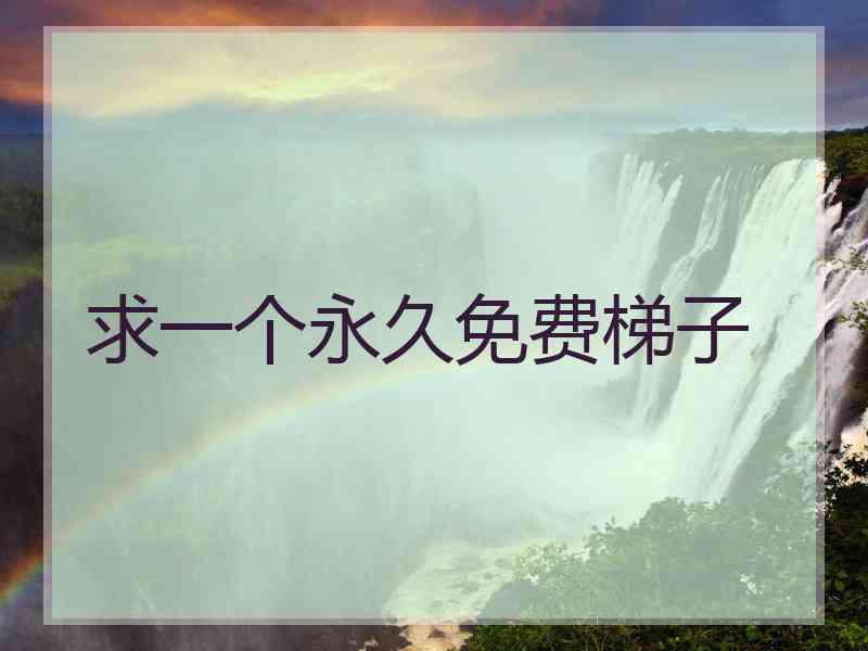 求一个永久免费梯子