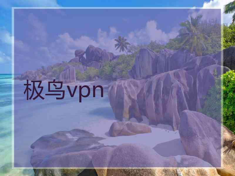极鸟vpn