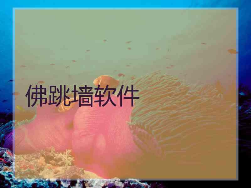 佛跳墙软件