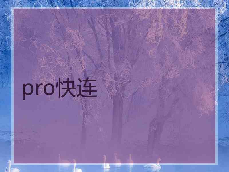 pro快连